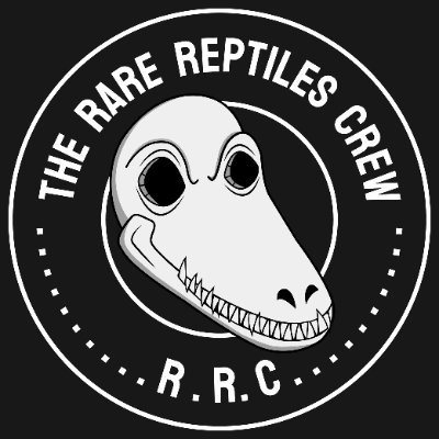 Welcome to the rare reptiles crew, a dope CNFT collection of unique reptiles on Cardano I MINT DATE PAUSED DUE TO POOR MARKET CONDITIONS!

https://t.co/7rnkRwbesj