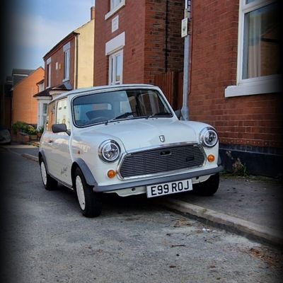 tigersfanmatt's profile picture. Classic Mini Owner, Avant Garde Cook, Sport Watcher