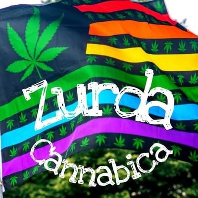 Activistas #Cannabicos #políticos de #Chile de centro izquierda hacia la izquierda que buscan aprobar la #LeyCultivoSeguro x una mejor sociedad mundial🌱💚