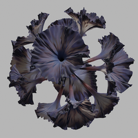 NENGHUO (@nenghuo_) 's Twitter Profile