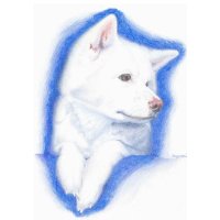 MAYUMI 色鉛筆画家 (@mayumi_7180) 's Twitter Profile
