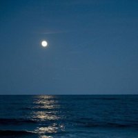 The sweet heart (@4_iw7) 's Twitter Profile