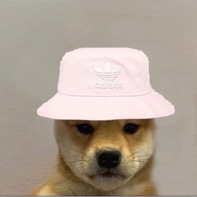 nyctroll1's profile picture. I am sponserd by DUBBY energy use code troll475