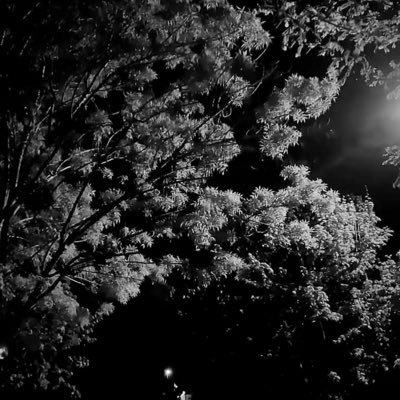 Starmoo78792204's profile picture. 