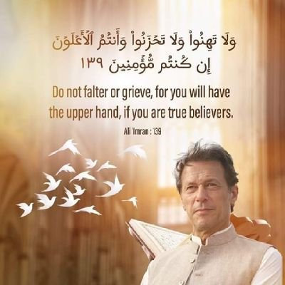 Husnain81316629's profile picture. 