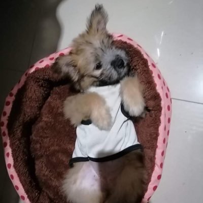 joika_bleeh's profile picture. for what is a man who gains the world but loses him in the process