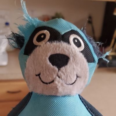 MuskyElon5's profile picture. No PORN! I'll block your stupid ass! Fuk off!