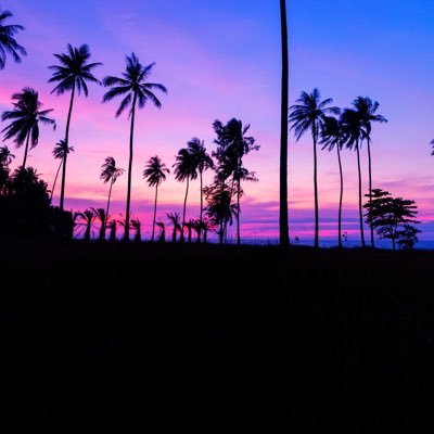 alihamedi75's profile picture. تثقيف وتعزيز صحي