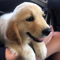 AnnieLaurie (@_last1__) 's Twitter Profile