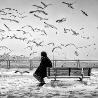 radmehdi33 (@radmehdi33) 's Twitter Profile