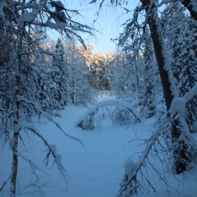 Racliv79's profile picture. 