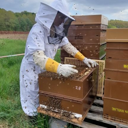 Apiculteur passionné en activité complémentaire. 
Multi casquettes
Belge