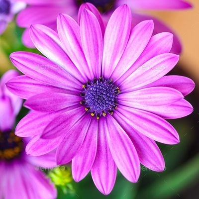 Ashlyn11110's profile picture. There is nothing more fulfilling than loving and being yourself!!!