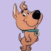 CrenteLoo's profile picture. Os sábios, pois, resplandecerão como o fulgor do firmamento; e os que a muitos ensinam a justiça refulgirão como as estrelas, sempre e eternamente. Daniel 12:3