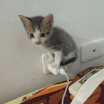 KortiaSa's profile picture. Coding 🖥️🖥️💻💻