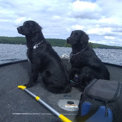 shelleykarges's profile picture. Just a Momma in the woods