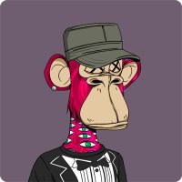 Bigbull.eth (@kapitalcrypto) 's Twitter Profile