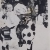 Timotea Perro (@perrotimotea) 's Twitter Profile