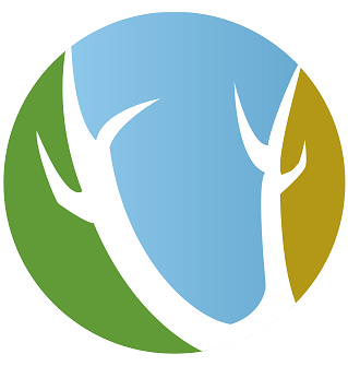 Welkom in het Nationaal Park Drents-Friese Wold en op kampeerterrein de Reeënwissel, misschien wel de meest dynamische natuurcamping van Drenthe.