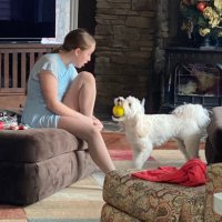 Wendi Vogel (@vogelwendi) 's Twitter Profile
