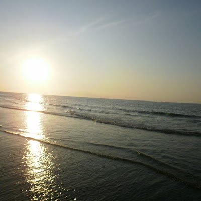 DianaLlamas123's profile picture. 