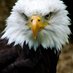 Ronald Brooks (@ronaldb55338533) Twitter profile photo Ronald Brooks (@ronaldb55338533) Twitter profile photo