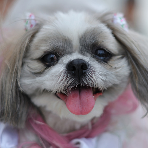 KatsukiNakatani's profile picture. インフラやったり、Androidやったり。最近のハマりごとはterraform