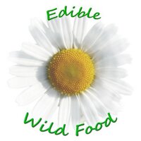 Karen Stephenson(@EdibleWildFood) 's Twitter Profile Photo