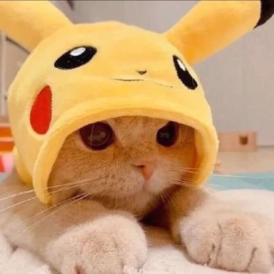 Escritor? eu achoさんのプロフィール画像