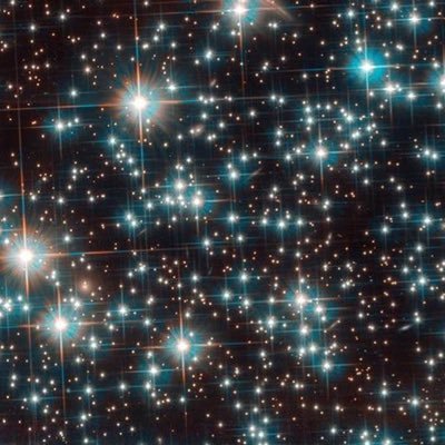 xsupreme's profile picture. 