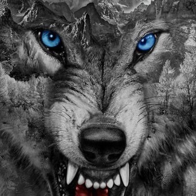 vuk_damir's profile picture. Came back to Twitter when Elon said it’s worth buying it.