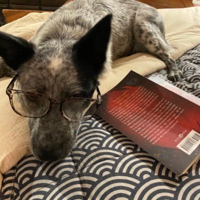 SpaceCoastSteph's profile picture. Retired teacher/librarian, mom, animal lover, dog and cat mom, cruise travel, RV travel. Florida transplant and loving it. 🌴💕