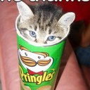 michael cull - @MuNKeY0o0o - Twitter