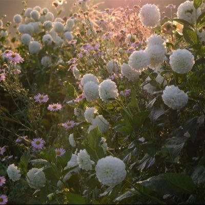 _sarald's profile picture. الحمدلله دائماً وأبداً .