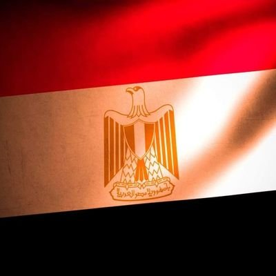 mohamed70847713's profile picture. 