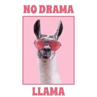 pajama llama(@TerriCook4truth) 's Twitter Profile Photo