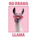 pajama llama (@TerriCook4truth) Twitter profile photo