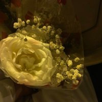 Rashed Rashid (@rashedmd_2020) 's Twitter Profile