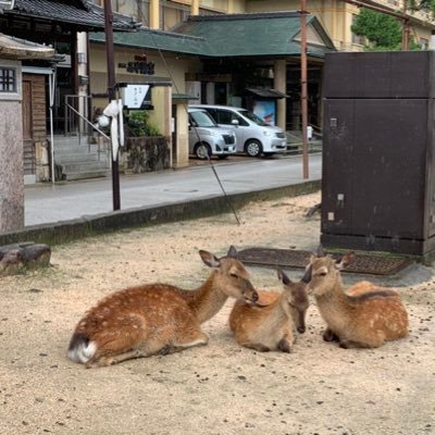 samurai12251's profile picture. /東京 /‘07(14) / wimper / RADWIMPS と神サイのライブが生きがいです 無言フォロー失礼します