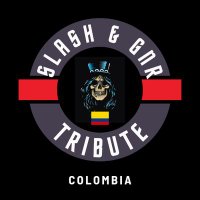Slash & GN'R Tribute Colombia π€π»π©π¨π΄π₯ (@slashgnrtribute) 's Twitter Profile