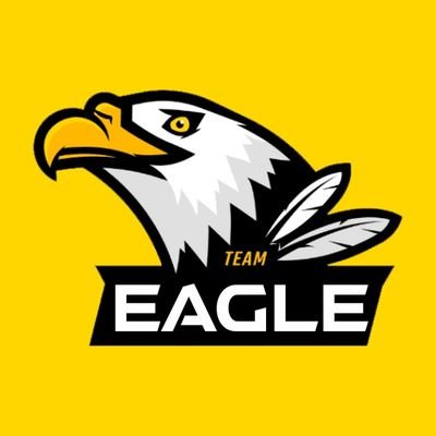 EAGLE_CONCOURS Profile Picture