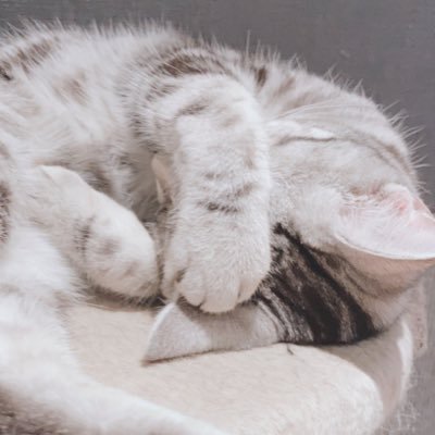 あゆみさんのプロフィール画像