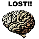 nonfat_milk's profile picture. ☀芝生の上を裸足で遊ぶ 【mother earth音楽祭】やってました☀