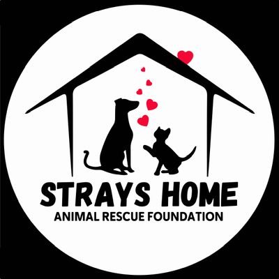 Strays Home - Animal Rescue Foundation®️ Profile