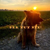 DerTutNix-Podcast (@dertutnixcast) 's Twitter Profile