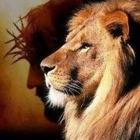 Oscar Dorantes (@oscar_dorantes) 's Twitter Profile Photo Oscar Dorantes (@oscar_dorantes) 's Twitter Profile Photo