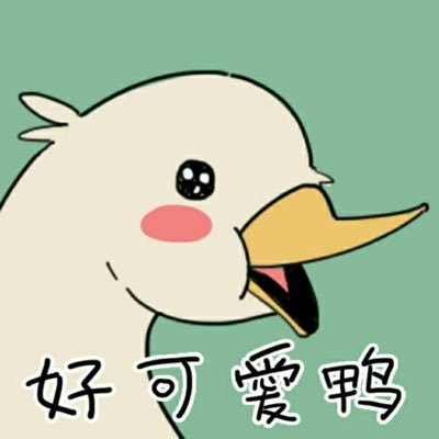 丽起来了さんのプロフィール画像