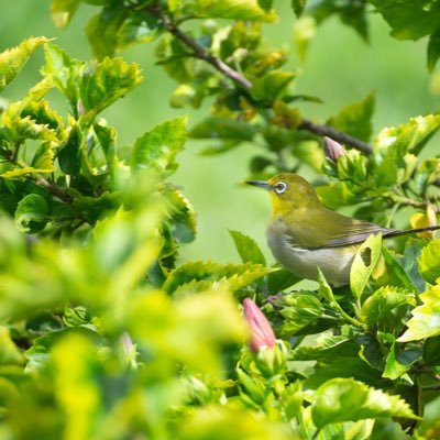 道路族撲滅アカウント 道路族に悩んで引っ越しました。 Twitterの使い方はよく分かっていませんので、いろいろ間違えます。ご了承ください。フォロー、フォロー解除、ブロックなどはご自由に。いいねくださる方々、本当にありがとうございます。