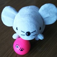 とりあん (@ejqfwv8491) 's Twitter Profile Photo とりあん (@ejqfwv8491) 's Twitter Profile Photo