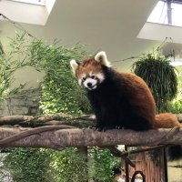 リュウ (@ryu_tan0405) 's Twitter Profile